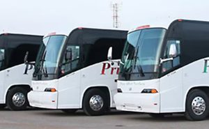 Skazany za to, że po alkoholu prowadził autobus z dziećmi w Kanadzie