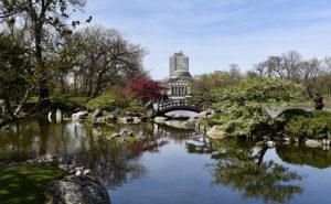 Garden of the Phoenix – jesienna perełka Chicago